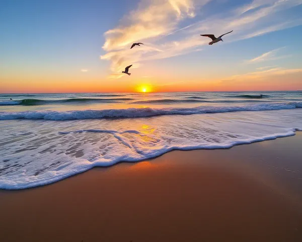 Serene Beach Sunset with Gently Lapping Waves and Soft Cries