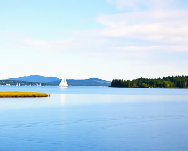 Serene Landscape with 12x36 Canvas Backdrop