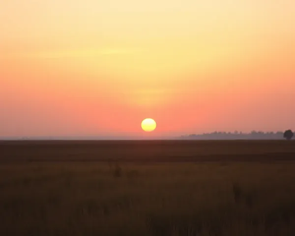 Serene Sunset Landscape for Romantic Wedding Album Background