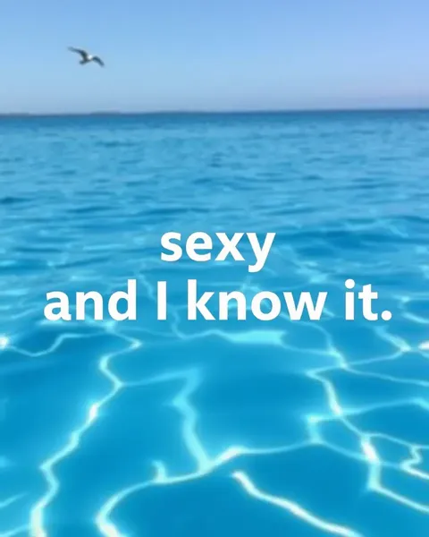 Sexy and I Know It Lyrics Only