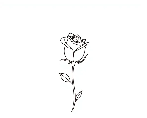 Simple Elegant Rose with Clean Lines
