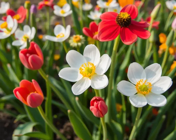 Spring Flowers Images: Vibrant Colors of Nature's Masterpiece