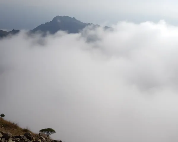 Suprabhat Images: Explore Beautiful Pictures