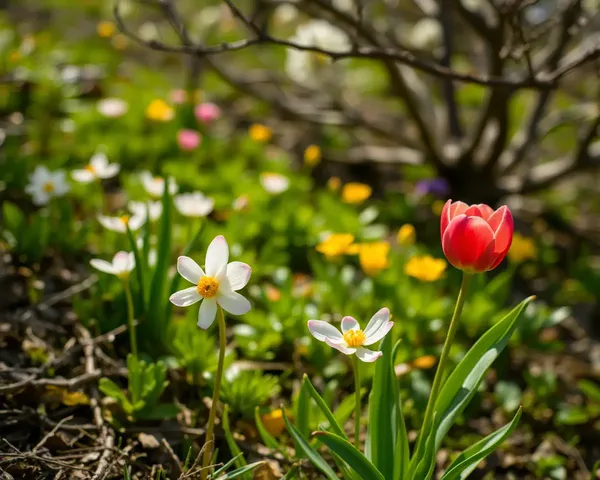 Vibrant Spring Images to Uplift Your Mood