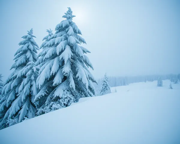 Winter Wonderland: Image of Snow and Serenity