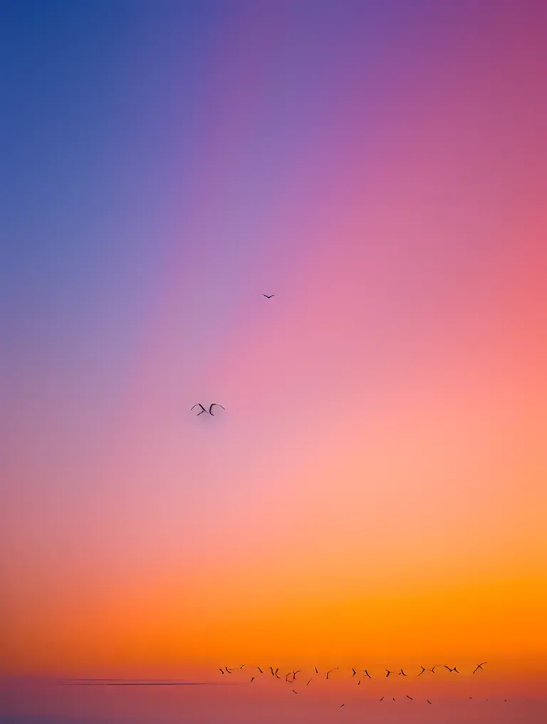 Aseel Birds Silhouetted Against Vibrant Sunset Sky.