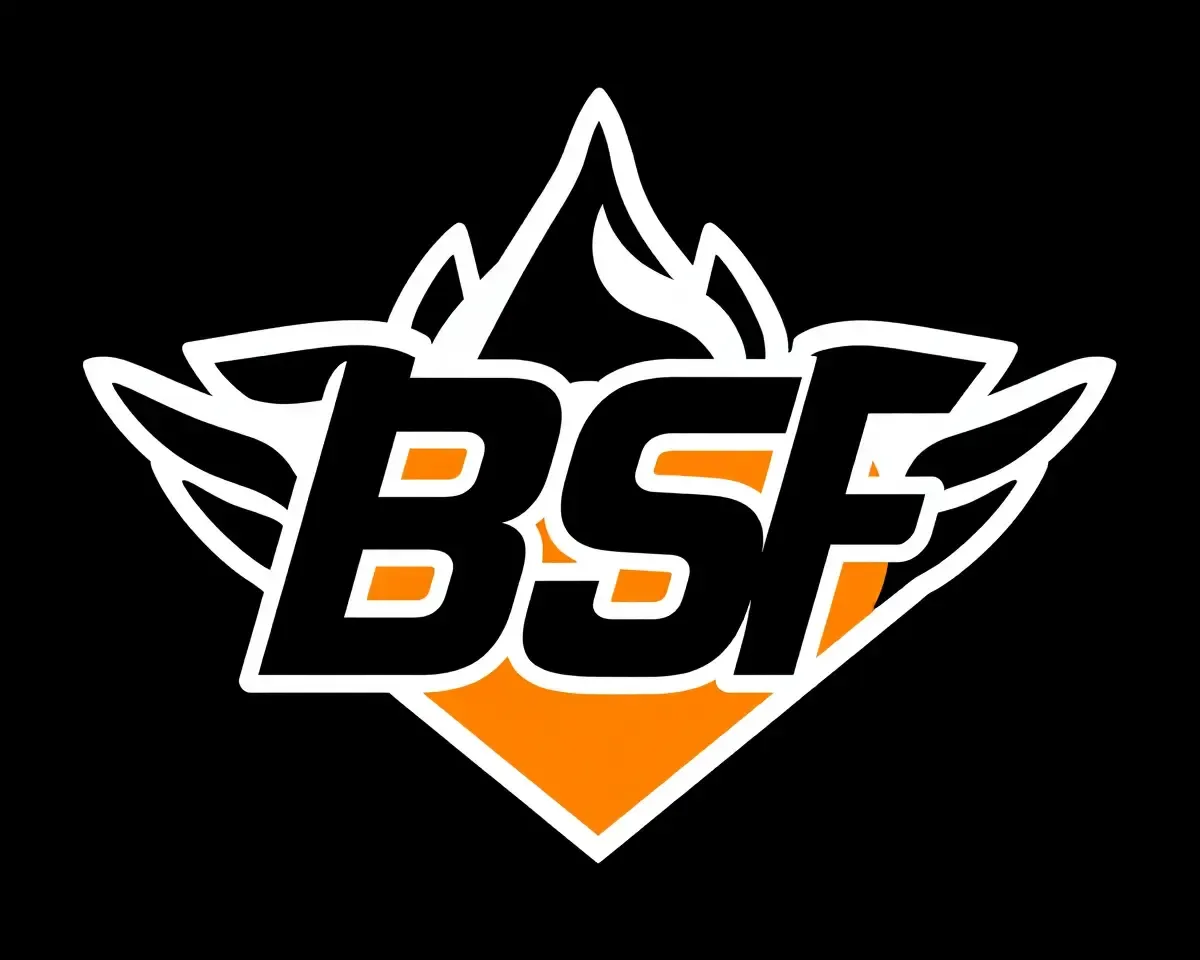 Bold and Striking High-Contrast BSF Logo