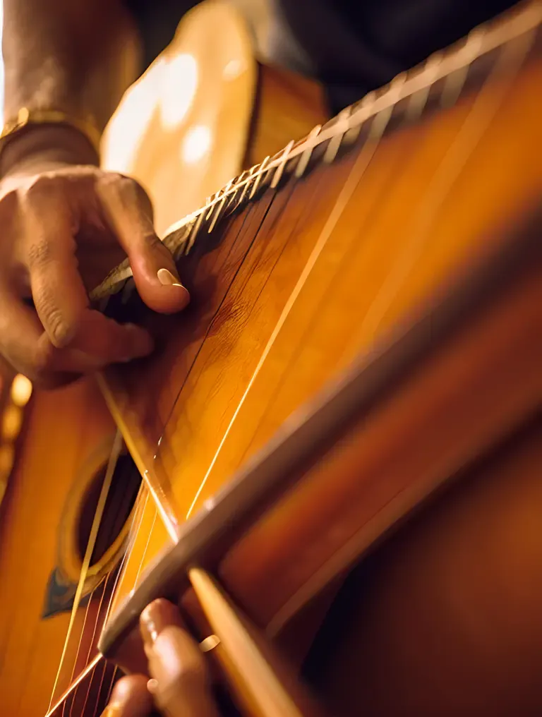 Close-up of Sarangi Player's Skilled Fingers