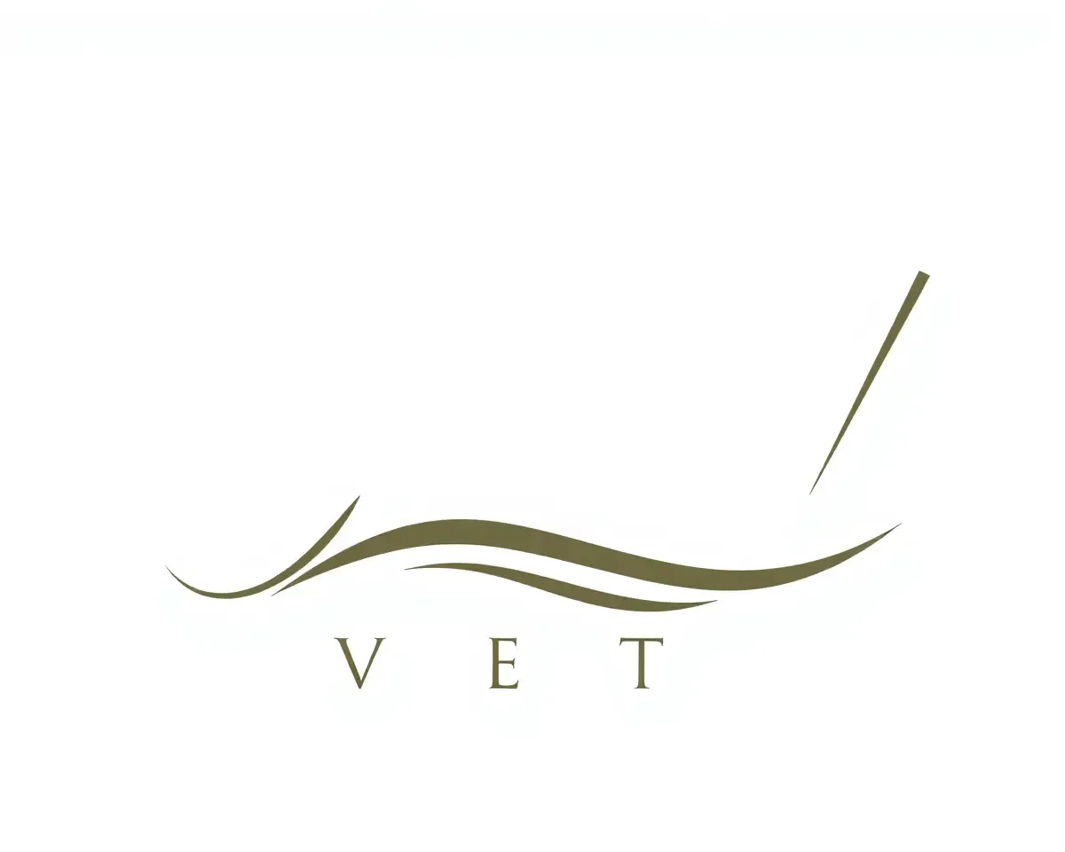 Elegant JNV Logo PNG: Stylized Letters and Texture