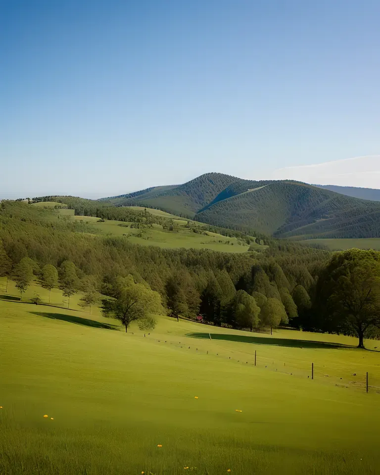 I Am from a Small Town in Rolling Hills and Forests