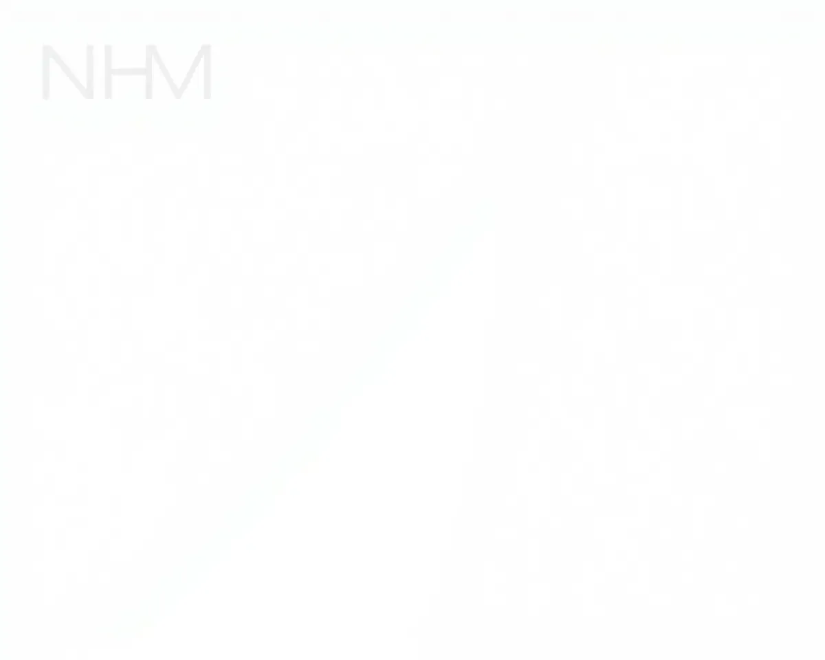 Minimalist NHM Logo Design in Simple White
