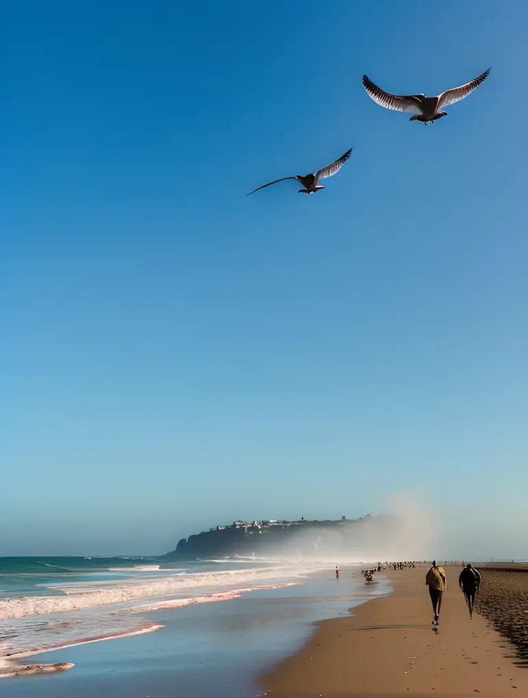 Person Walks Along Beach with Waves and Seagulls