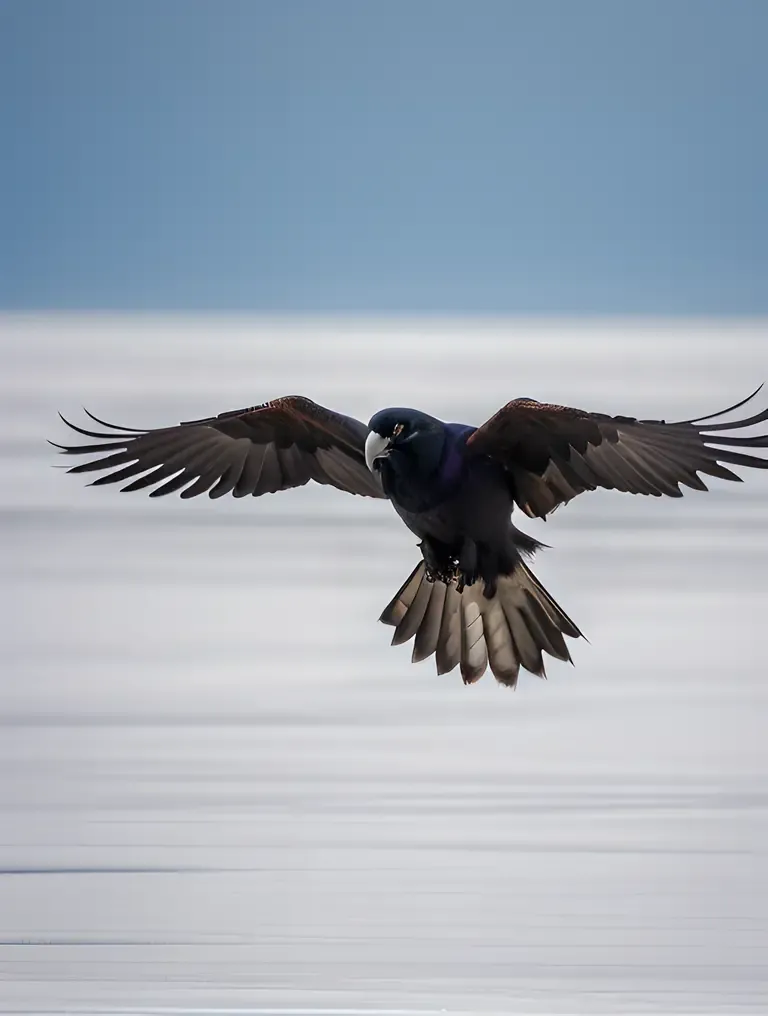 Raven Flies Over Snow-Covered Landscape