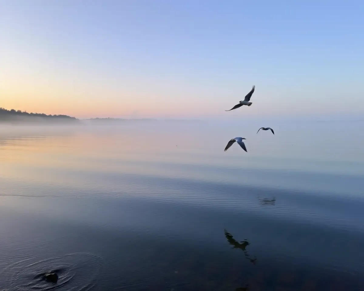 Serene Lake Dawn with Gentle Bird Chirps and Lapping Water