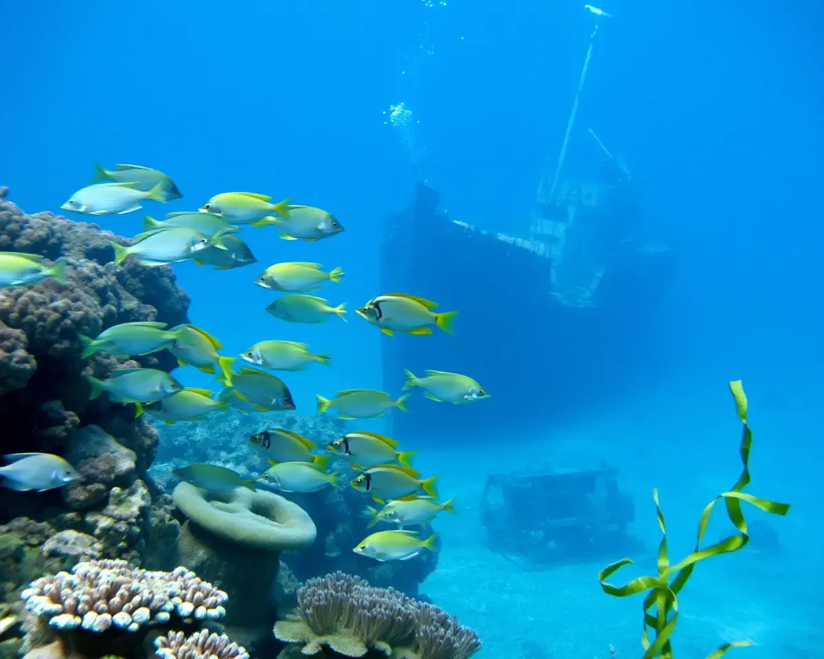 Serene Underwater Scene with Colorful Fish and Sunken Ship