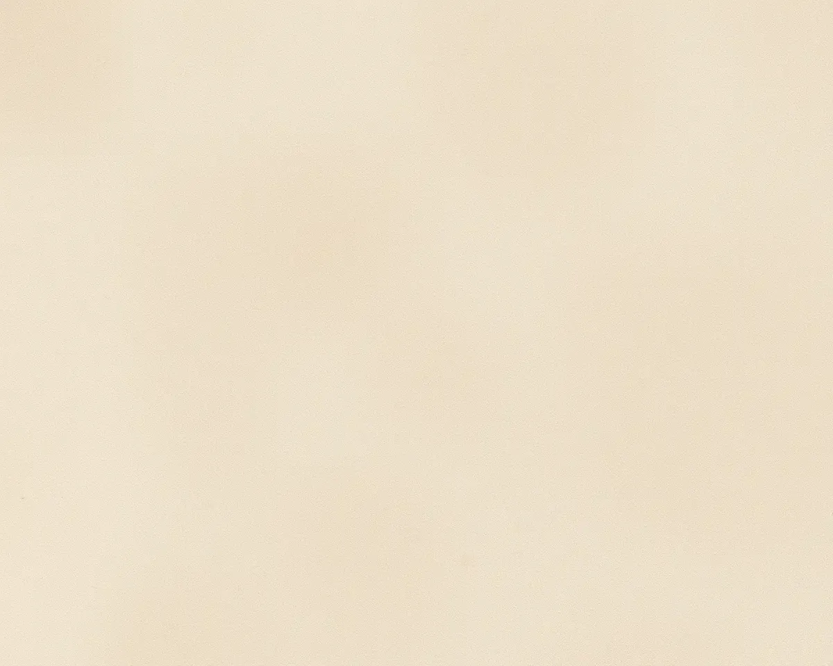 Soft Muted Kota Stone Texture for Minimalist Designs