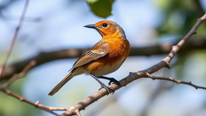  Características do Pássaro de Peito de Castanha Explained