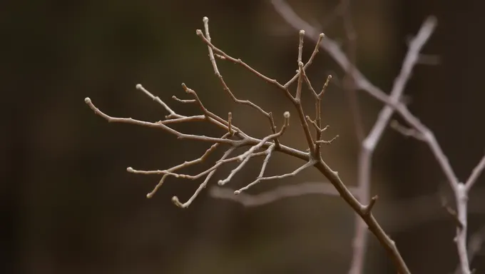 Elementos Básicos